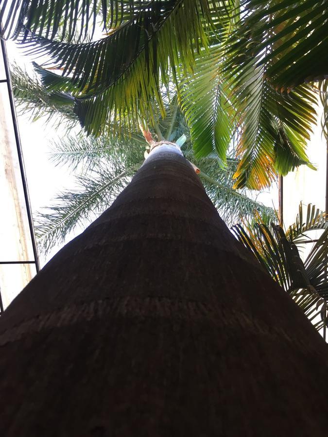 Hotel Tierra Del Sol Oaxaca ภายนอก รูปภาพ